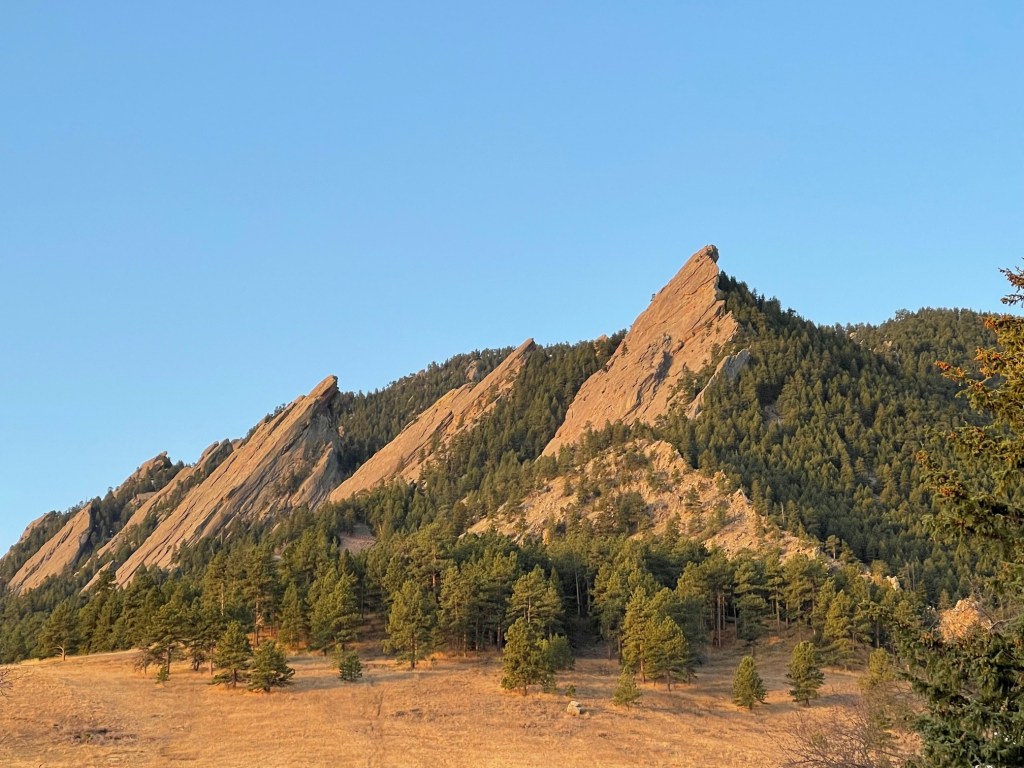 The Bush Philosopher of&nbsp;Boulder